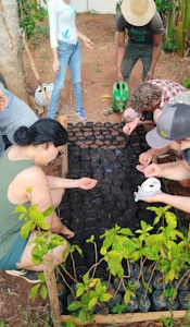 Cuba - Ecological Restoration