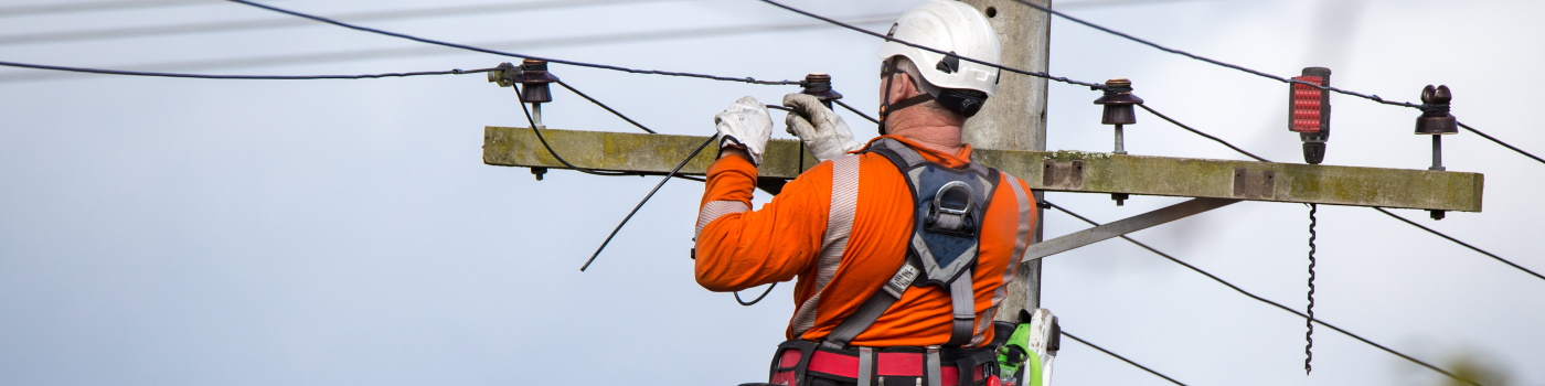 Powerline Technician