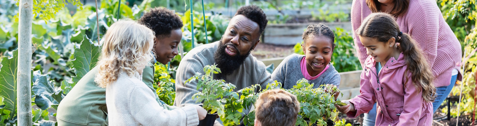 School of Arts, Community and Protective Services